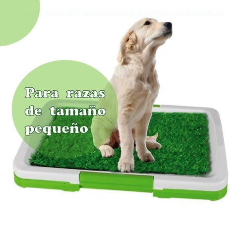 BANO ECOLÓGICO Y PORTÁTIL  PARA PERROS