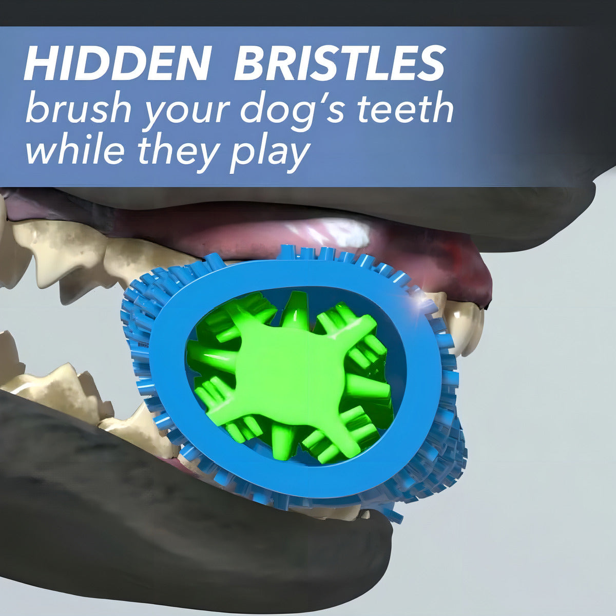 Juguete Limpiador De Placa Dental Perros